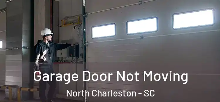  Garage Door Not Moving North Charleston - SC